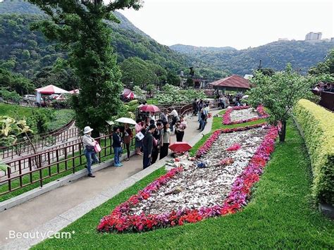 陽明山花葬區|臺北市殯葬管理處多元環保葬